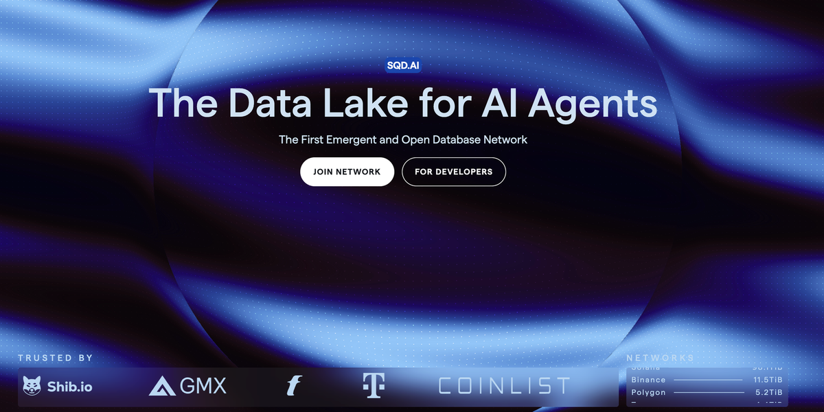 Unlocking the Future of AI Data Access: An In-Depth Look at SQD Network Feature image