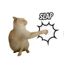 CatSlap (SLAP) Debuts on MEXC: A Fierce Meme Coin Enters the Scene Feature image